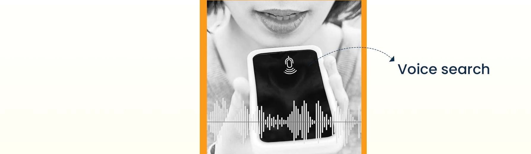 voice assistant
